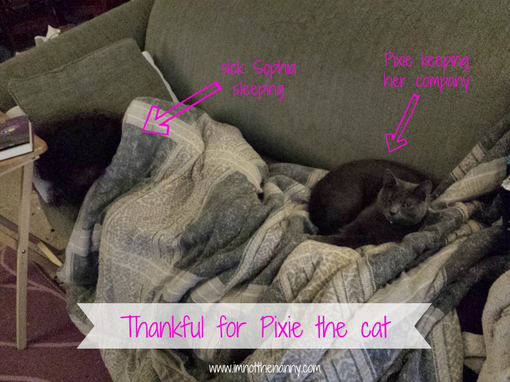Thankful for Pixie cat