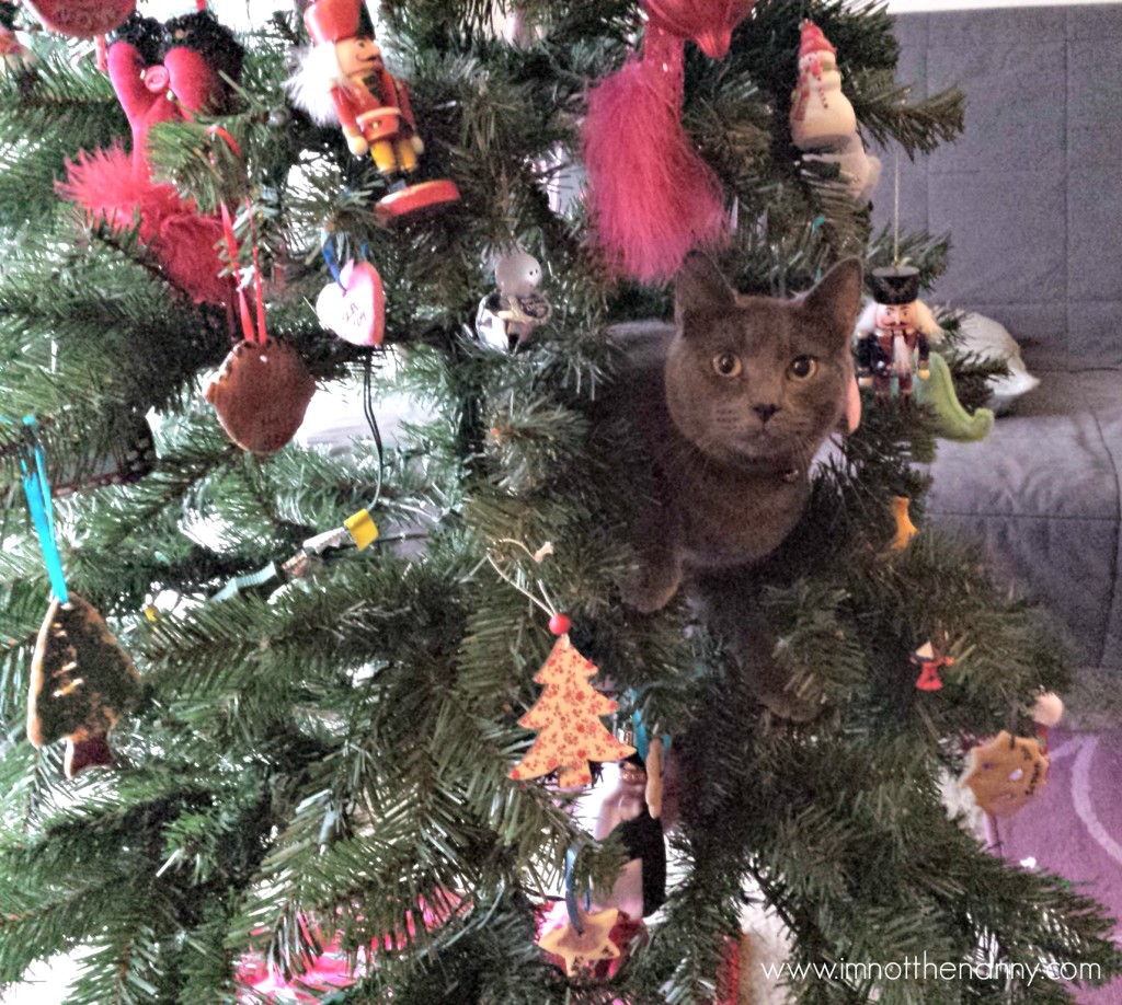 Pixie in Christmas Tree
