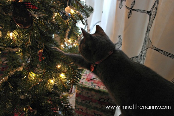 Cat Playing with Christmas Ornaments