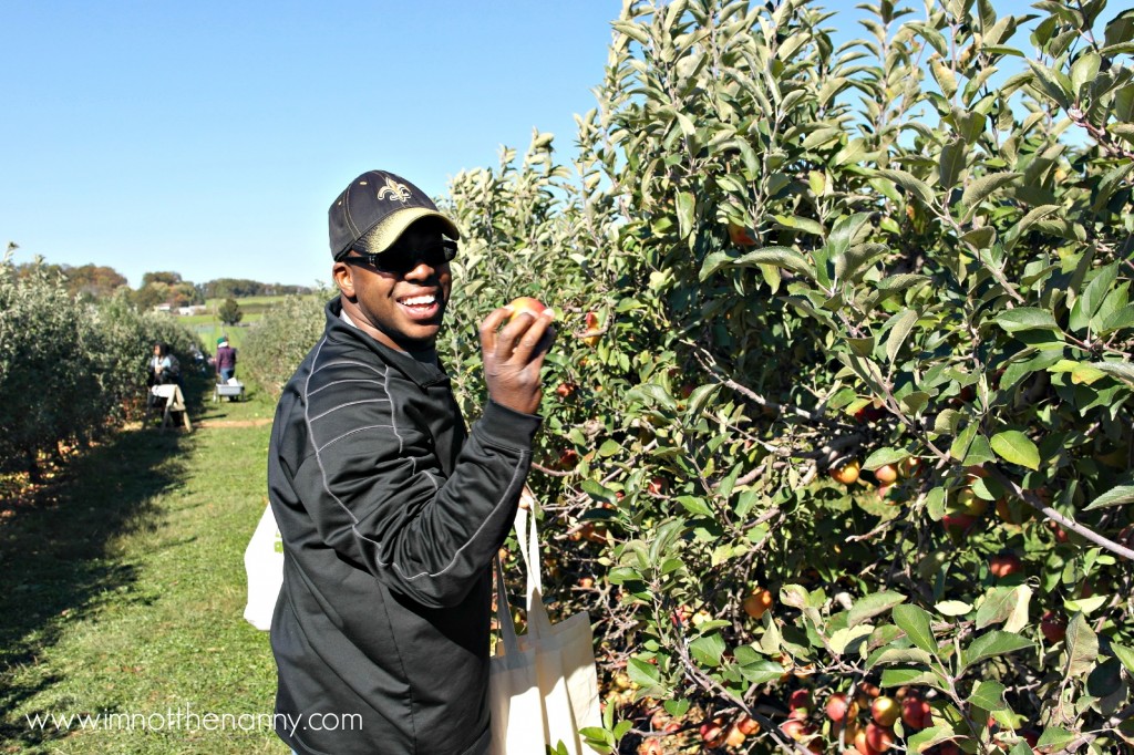Larriland Farm Apple Picking