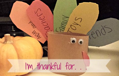 Thanksgiving Turkey