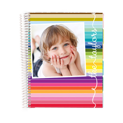 Erin Condren Striped Planner