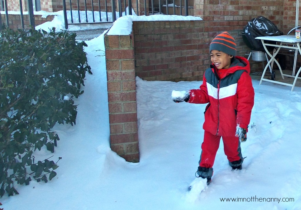 Jaxson with snowball-I'm Not the Nanny