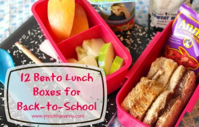 12 Bento Lunch Boxes for Back-to-School-I'm Not the Nanny