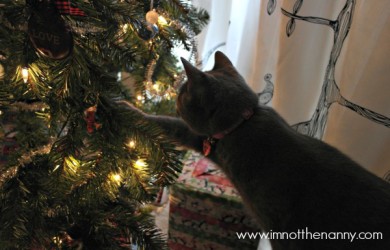 Cat Playing with Christmas Ornaments