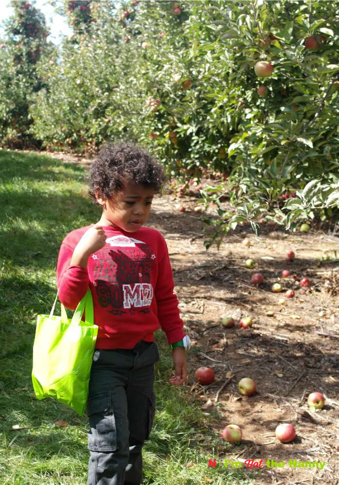 How To Take Better Candid Photos On Your Smartphone via I'm Not the Nanny