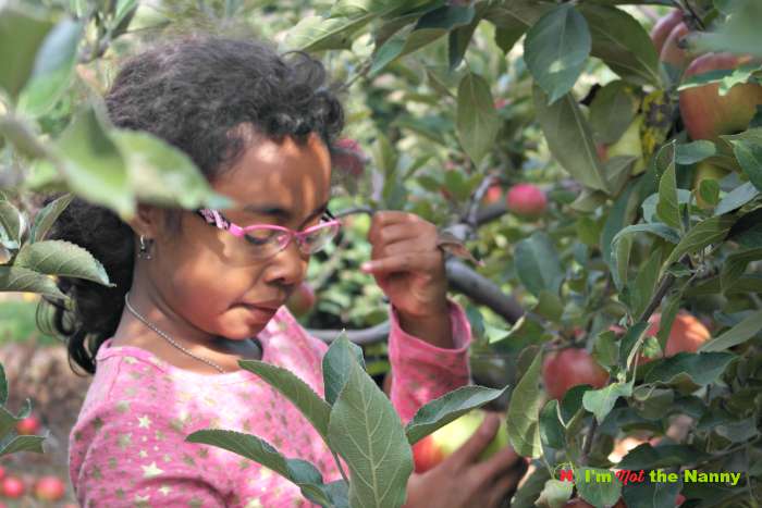 How To Take Better Candid Photos On Your Smartphone via I'm Not the Nanny