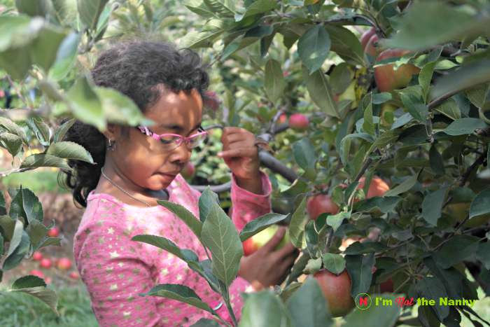 How To Take Better Candid Photos On Your Smartphone via I'm Not the Nanny