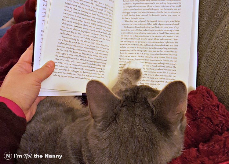 Reading with Cat