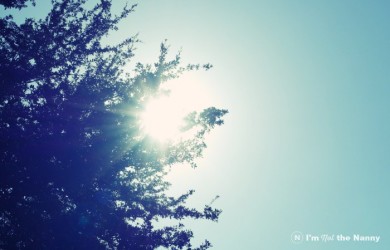 Sun shining through the trees